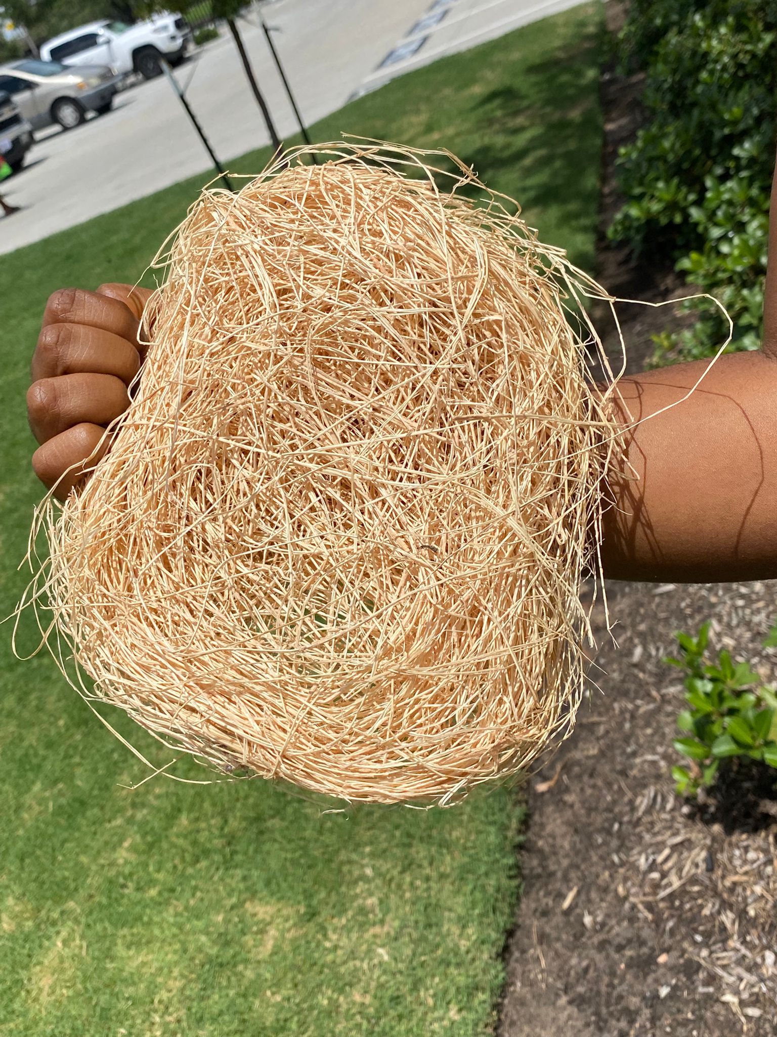 Natural Body Scrub Sponge